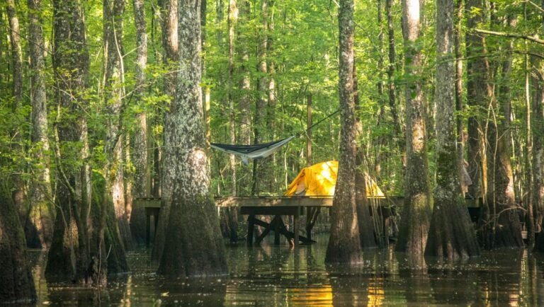 Best Places to Camp in North Carolina