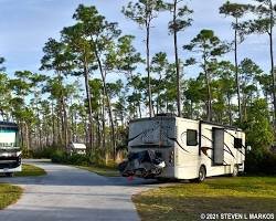 Image of Everglades National Park Long Pine Key Campground